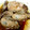 rikazou81's cooksnap of when they made 簡単！牡蠣のアヒージョ.
