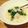 がんちゃっく's cooksnap of when they made 簡単☆食べ切りサイズの七草粥.