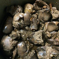 clarge's cooksnap of when they made 鰻のﾀﾚで!簡単!鶏の肝煮.