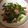 popet's cooksnap of when they made アスパラとベーコンのバター炒め.