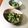 スージー＆ジル's cooksnap of when they made 簡単☆菜の花のパルメザンチーズ和え.