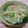 まゆげーも's cooksnap of when they made 葉も有効活用！大根の梅サラダ.