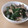 きらり流れ星's cooksnap of when they made 豚肉とネギの中華風炒め.