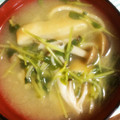 seka854's cooksnap of when they made 豆苗とえのきの味噌汁.