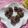 miyuki12's cooksnap of when they made ・‥びっクリ⋆ゴマかしチョコ‥・.