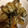 クックGDRNXC☆'s cooksnap of when they made 牡蠣のバタぽん照り焼き.