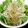 はぎっ子's cooksnap of when they made 簡単！春菊とジャコのサラダ.