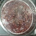 ベイビーン's cooksnap of when they made 甘味処の味！小豆煮作ってぜんざい/お汁粉.