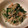 ノッケオ's cooksnap of when they made 簡単おつまみ♡ツナとニラの白だし和え.