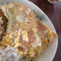 ダーマイニシアティブ's cooksnap of when they made カツ丼.