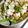 のむさんちのぷる's cooksnap of when they made シーザーサラダドレッシング ver.2.