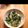 きりんリン's cooksnap of when they made イカとチンゲン菜のナンプラー炒め.