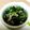 ウキウキウキエ's cooksnap of when they made 簡単⭐美味しい♪小松菜・しらす干しナムル.