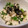 さとみにぃ～'s cooksnap of when they made わさび菜と豆腐の和え物.