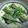 kstmam's cooksnap of when they made 炊き込み秋刀魚ご飯♪.