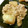 82tarou's cooksnap of when they made とろ〜り☆大根そぼろ餡.