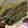 chibiかな's cooksnap of when they made HMでささっとミルクレープ！.