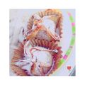 rktaki's cooksnap of when they made 栗がいっぱい♪焼きモンブラン.