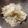 れっちょん's cooksnap of when they made 塩もみが命の大根サラダ.