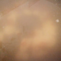 ＊とりこ＊'s cooksnap of when they made しゃぶしゃぶの時用(^^)簡単♬ダシ♡.