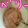 ぱりぱりっこ's cooksnap of when they made 生クリームの消費に!!フルーチェムース♡.