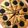 クックZHAX8Z☆'s cooksnap of when they made 炊飯器で簡単！かわいい！オレオのケーキ.