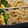 MyDining's cooksnap of when they made 牛肉とごぼうの混ぜご飯.
