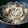 ナギヤ1114's cooksnap of when they made 肉じゃがうどん.