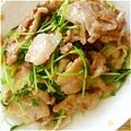 かなマサ's cooksnap of when they made お手軽豆苗炒め✨.