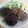 クックSGXZW1☆'s cooksnap of when they made ナスとしいたけの絶品肉詰め★.