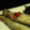 snoopy_snoopy's cooksnap of when they made 簡単ですよ！ししゃものエスニック南蛮漬け.