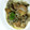 くみょくみょ's cooksnap of when they made きのこと鶏モモ肉の煮込み.