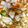 ☆ころころ☆'s cooksnap of when they made 麻婆豆腐.