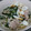 ポテト丸's cooksnap of when they made 刻み玉ネギが隠し味！美味しい煮込みうどん.