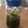mandryu's cooksnap of when they made 何にでも合う！万能ニラ醤油.