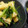 豆と麦's cooksnap of when they made 簡単♪みつ葉と油揚げの和え物（ナムル風）.