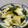 ちくえだ's cooksnap of when they made 白菜とわかめの中華風ホットサラダ.