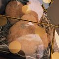 ぷぅちゃん♡'s cooksnap of when they made ホワイトチョコチップとベリーのクッキー☆.