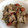 mavi's cooksnap of when they made とり肉とごぼうの炒め煮.