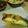 yuu2013's cooksnap of when they made 焼いて！香ばしい♪カラスカレイの煮付け.