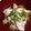 こなつぼうや's cooksnap of when they made ダイエット＊簡単湯豆腐風♪レシピ本掲載.