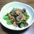 irunon's cooksnap of when they made 簡単！茄子とピーマンの大葉味噌炒め.