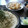 亜ーこ's cooksnap of when they made 後一品に☆焼き茄子の生姜添え.