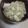 ゆそそ's cooksnap of when they made 鯛めし<*)) >=<.