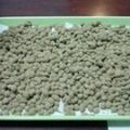 あき母ちゃん's cooksnap of when they made 手作り赤味噌（豆味噌）.