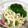monchi”'s cooksnap of when they made 即簡単★切り干し大根の棒棒鶏風？サラダ.