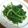 ａｉｍａｍａ's cooksnap of when they made ナムル　ほうれん草.