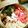 ☆あきちゃん☆〜's cooksnap of when they made いろいろ冬野菜のせいろ蒸し.