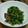 カズオリ's cooksnap of when they made 聖護院大根葉の梅肉和え♪.