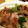 こはるネコ's cooksnap of when they made ゆず胡椒で★★★鶏肉とセロリの炒め物.